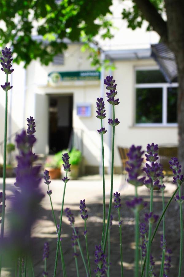 Luebsche Thorweide Otel Wißmar Dış mekan fotoğraf
